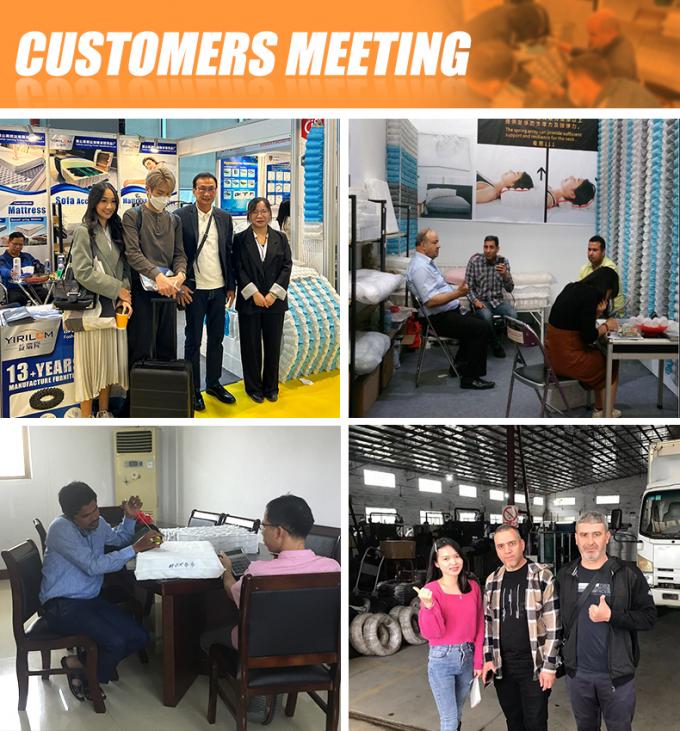 ملحقات الأثاث OEM 2.0mm سلك الربيع ورق تثبيت سلك لأريكة زيغ زاغ الربيع 8