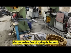 ربيع زيك زاك