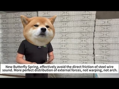 ربيع الفراشة