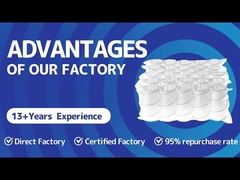 ميزة المصنع