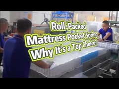 فراش الينابيع الجيبية