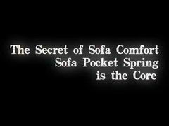 وحدة الربيع الجيبية للأريكة